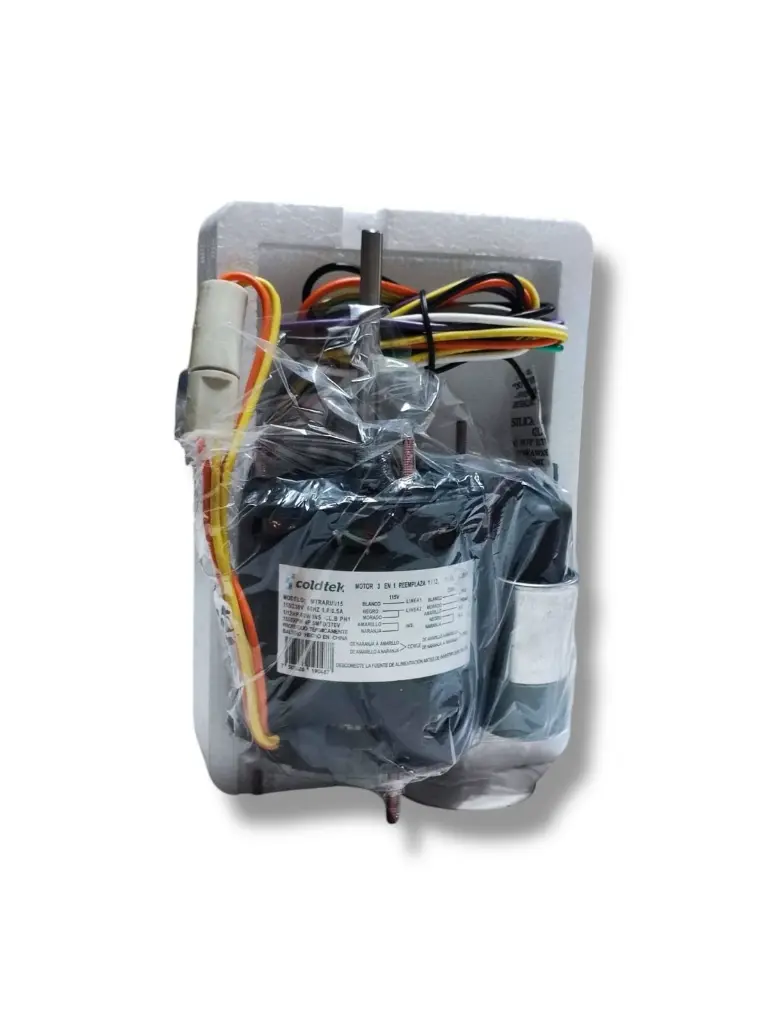 WhatsApp Image 2025-02-19 at 9.18.03 PM (2).webp